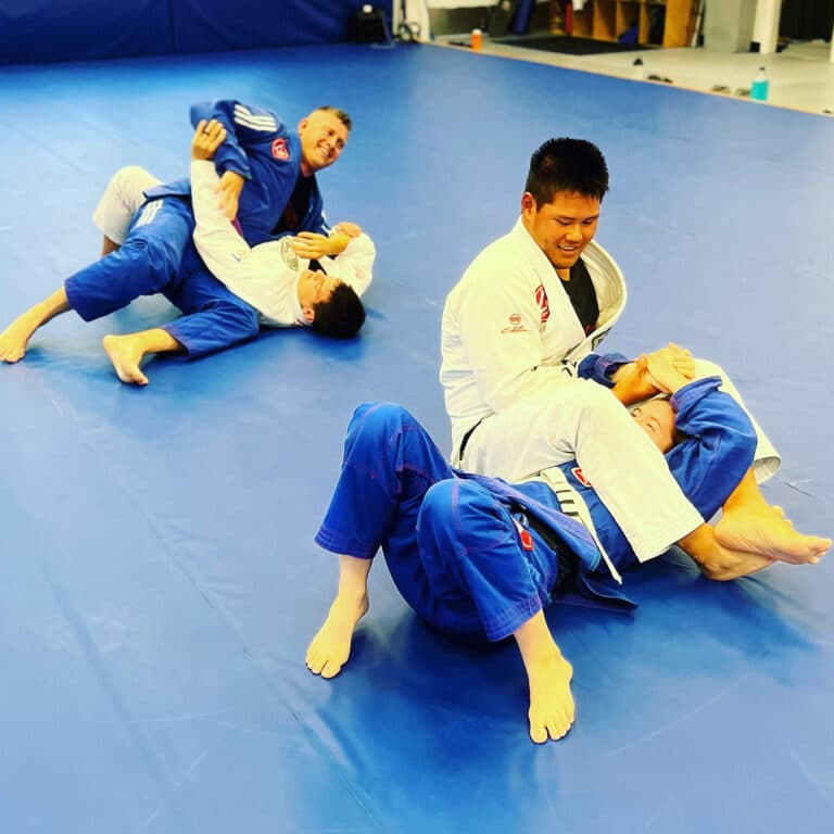 Discover how the Gracie Barra Belt System works